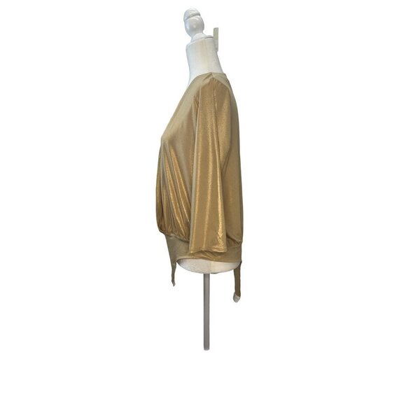 Nora Barth One Piece Long Sleeve Blouse liquid fabric Metallic Sheen Gold Size 4 - Picture 3 of 9